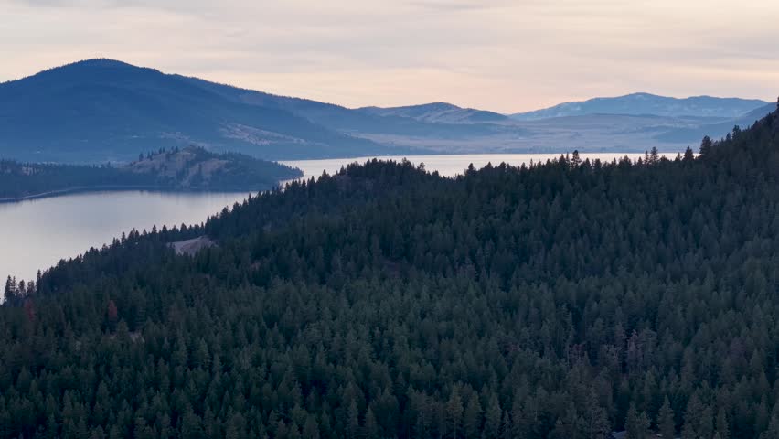 Aerial drone view of dense evergreen forest on a hillside near a large lake with mountains in the background at sunset