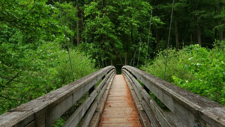 This 4K video shows a suspension walking bridge in the Eagle Creek area of the Columbia River Gorge, Oregon. The visual documents the bridge structure crossing a creek within a coniferous forest. The composition illustrates the pedestrian infrastructure and Pacific Northwest topography, documenting North American civil engineering and forest ecology for editorial and nature media.