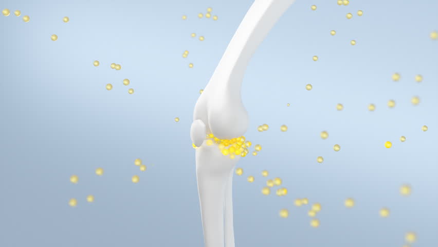 Human bone with calcium and vitamins that are absorbed to strengthen the bone.