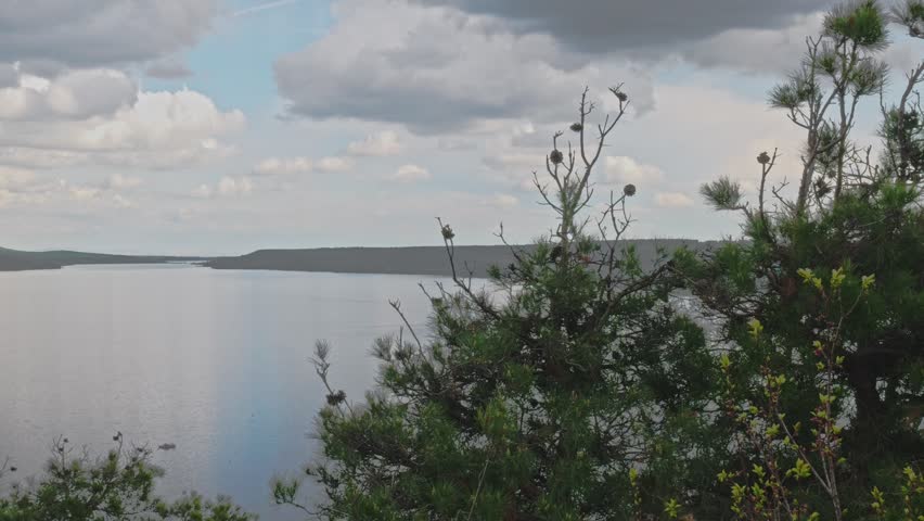 Scenic Lake View Through Pine Trees Under Cloudy Sky