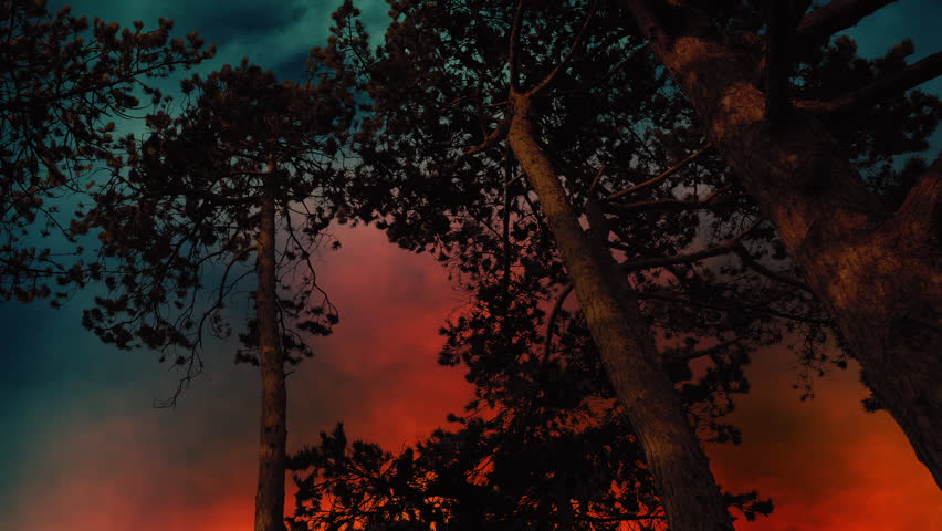 Raging Sky Behind Trees In Storm Winds