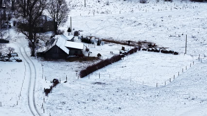 Farm buildings with horses grazing in winter snow, country life concept