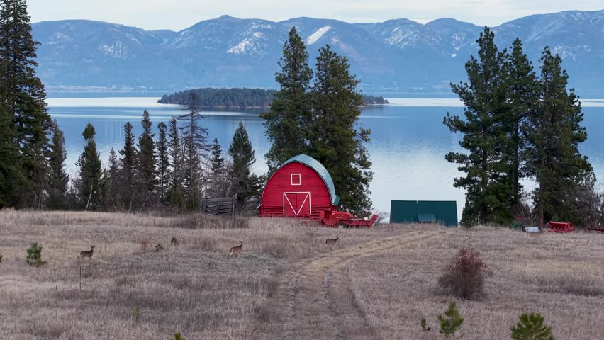 Drone shot of a rustic red barn on an open meadow near a calm lake with grazing deer and snow-capped mountains in the background.