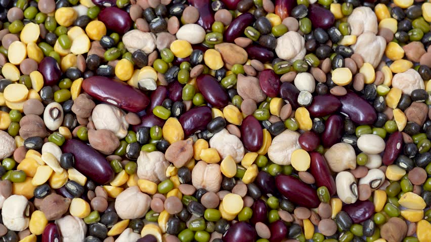 assortment of dried multi-colored beans from above, healthy ingredient, background. Close-up and selective focus. Indian dal, Tadka curry ingredients concept.