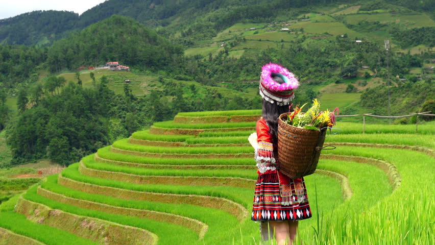 Hmong ethnic minority standing on rice terraces in Mu Cang Chai, Yen Bai, Vietnam.