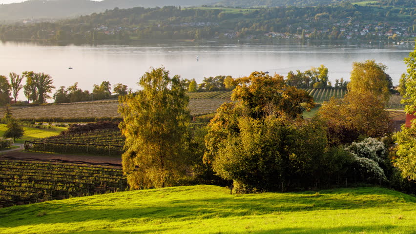 Beautiful 4K UHD Time-lapse of Sunlight and Shadows Over Lakeside Vineyards