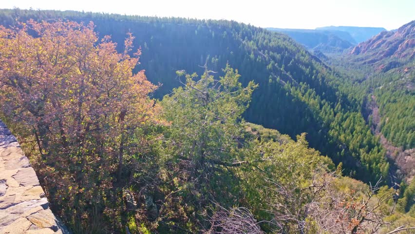 Scenic Aerial View of Oak Creek Canyon in Arizona on a Sunny Day