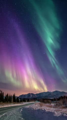 A snowy path through a tranquil pine forest under the spectacular purple and green lights of the aurora borealis.