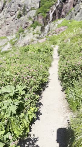 Scenic Hiking Trail with Wildflowers and Waterfall Overlooking Grinnell Lake in Glacier National Park Montana