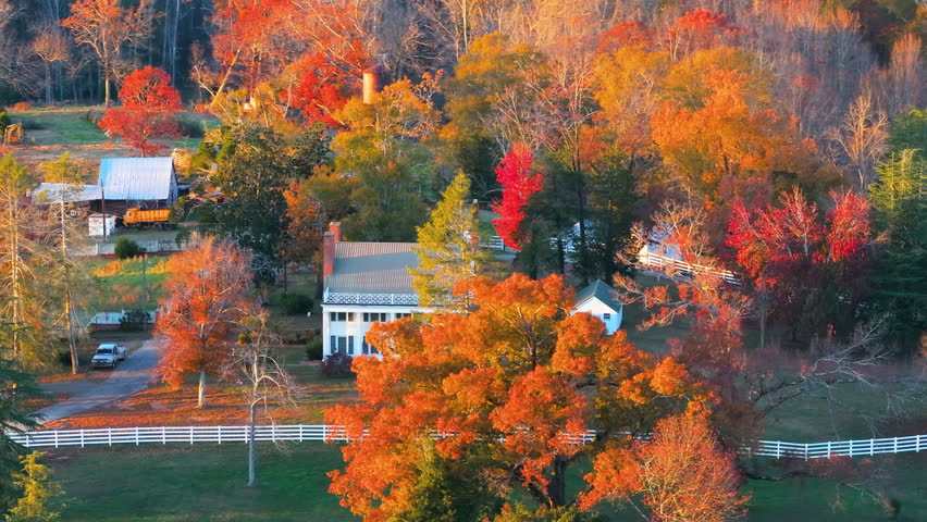Large country homes surrounded by golden autumn woods, warm sunlight highlighting the rustic charm of rural living in the southern landscape.