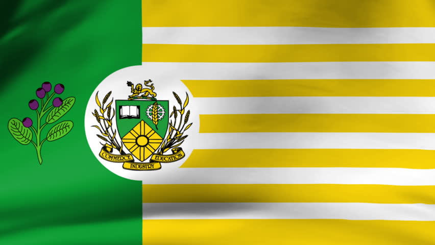 Close-up of Saskatoon City Flag Waving in Wind Slow Motion
