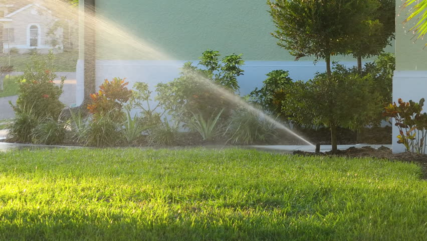 Sprinkler irrigating grass lawn with water in summer garden. Watering green vegetation during dry season for maintaining it fresh.