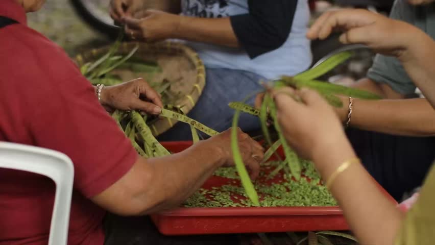 Close-up of hands peeling petai (stink beans) from its pod, showing traditional food preparation in Southeast Asia. Fresh green beans being processed for cooking, highlighting local ingredients, culinary culture, and natural food preparation.