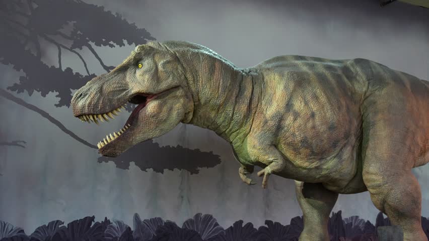 Close view of a Tyrannosaurus Rex model displayed inside the Natural History Museum in London. The detailed dinosaur figure shows realistic textures and features