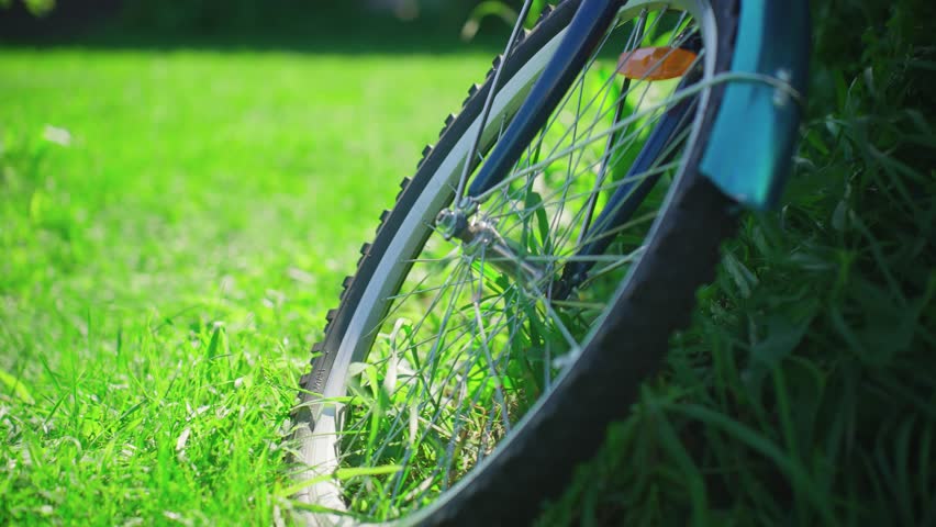 Closeup Of Bicycle Wheel In Gentle Sunlight. Tranquil Backyard With Bicycle Wheel On Bright Sunlit Grass. Serene Scene Featuring Bicycle Wheel Resting On Fresh Sunlit Grass In Backyard