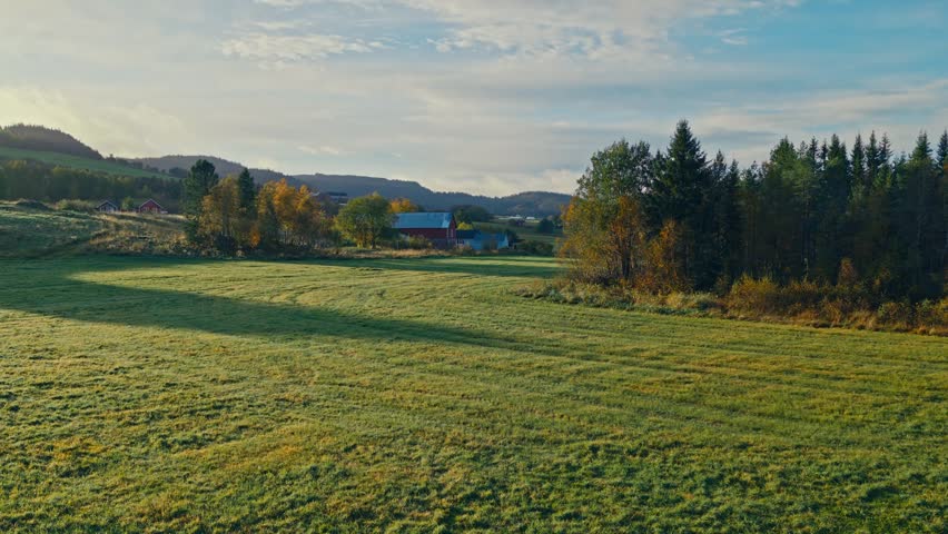 The Lush Green Field Stretches Towards the Rolling Hills, With Scattered Farmhouses Nestled Among Trees - Drone Flying Forward