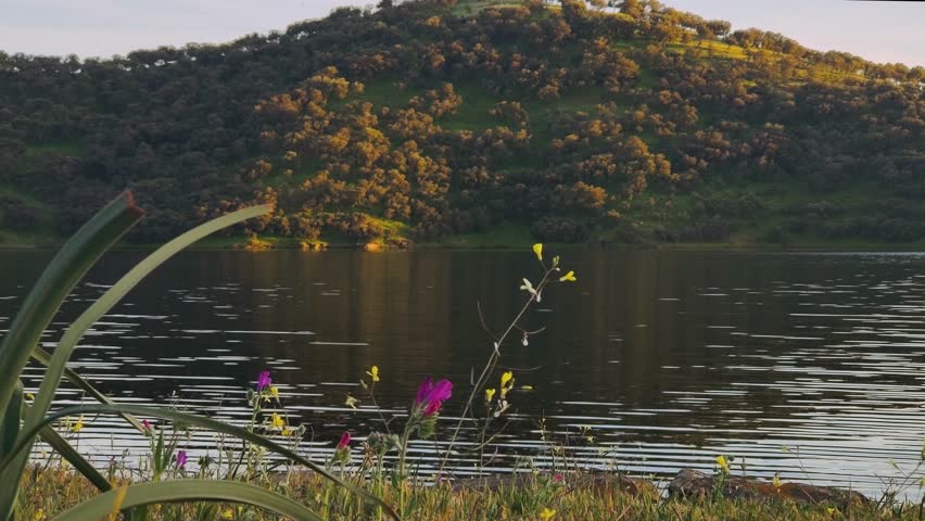 panoramic landscape of a peaceful shore in Spring near a lake surrounded by coloured Flowers in bloom and Mediterranean hills with calm waters of a Spanish reservoir 