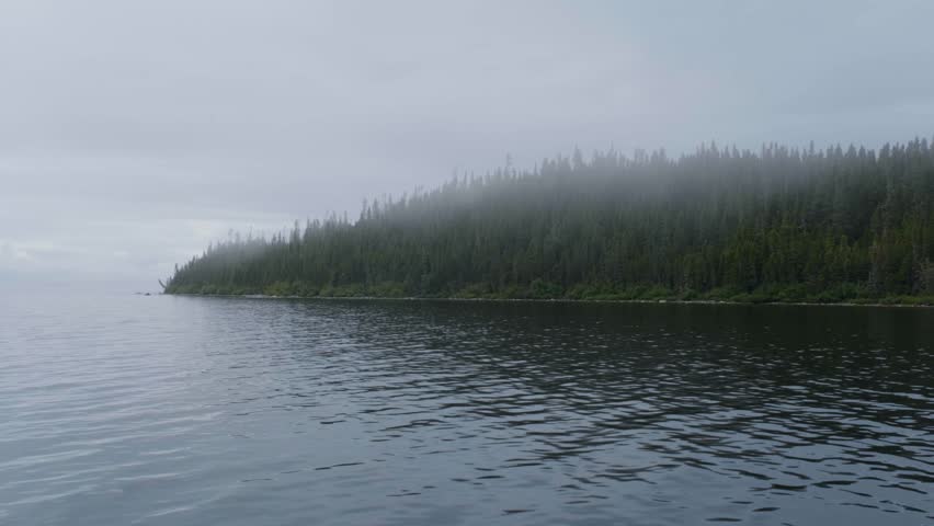 A fishing boat cuts through the quiet lake, surrounded by forest and drifting mist