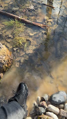 Woman cleaning black boots in puddle, closeup POV of laced boot submerged in clay and lea strewn water stones and moss at edge.