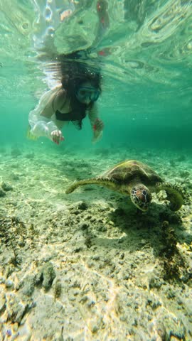 Snorkeler reaching toward turtle underwater, serene marine life exploration mood