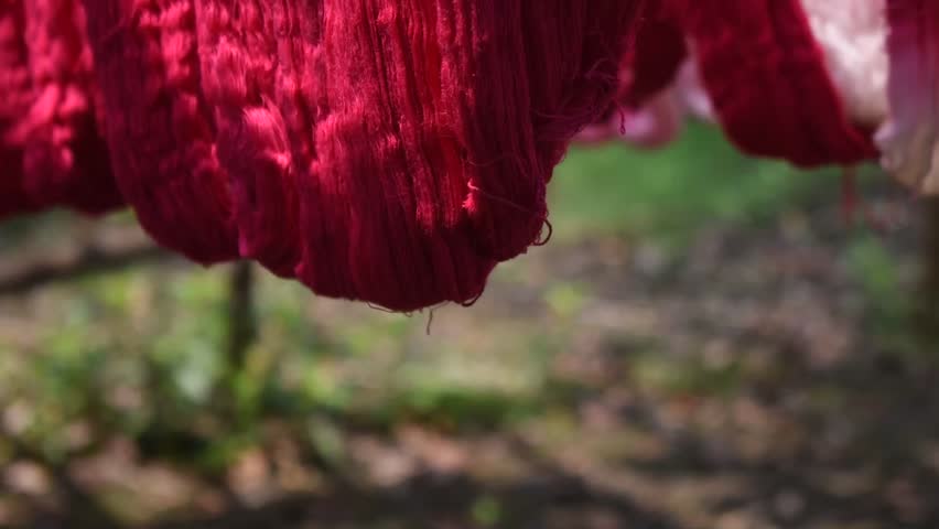 Red tie dyed yarn hanging under sunlight during traditional textile dyeing process