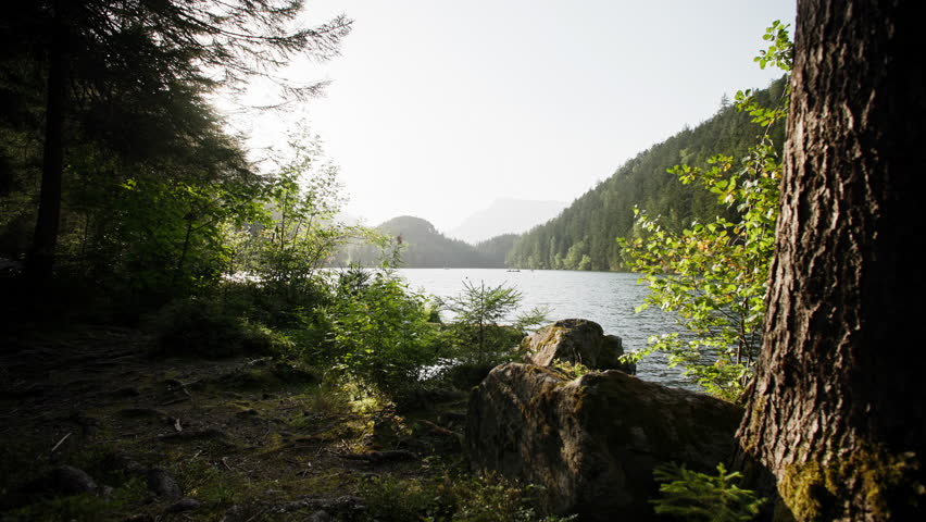 Beautiful alpine lake Piburger See in Austria with forests on mountain slopes and calm natural landscape for tourism in Europe