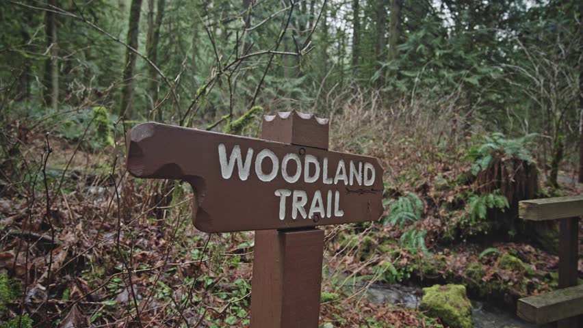 A close up tracking shot focuses on a brown wooden nature trail sign with carved white letters reading Woodland Trail. The sign stands among vibrant green foliage and damp trees in a forest setting