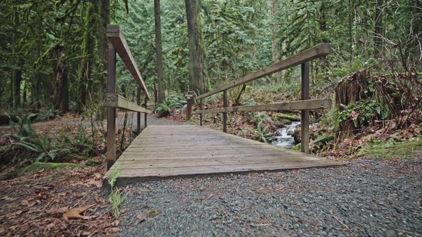 The camera glides forward low across a wet wooden bridge toward a rustic Woodland Trail sign. A small stream flows alongside the pathway surrounded by dense green ferns and tall trees in a quiet park