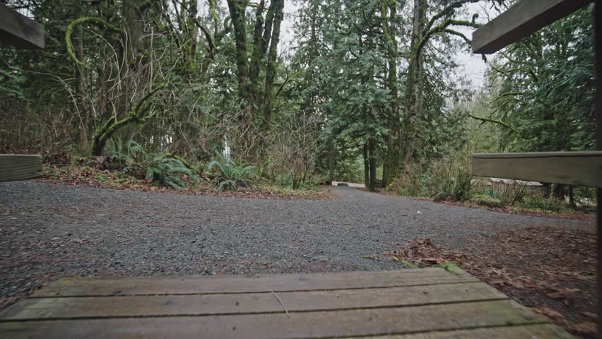 The camera glides backward low to the ground across a rustic wooden footbridge with handrails. The serene gravel pathway leads into a dense forest of evergreen trees at Bridal Veil Falls in Canada