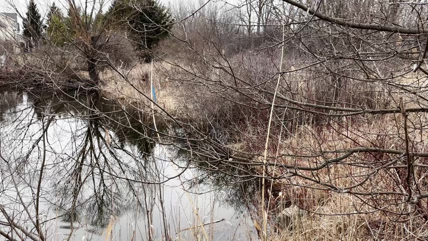 Pond in an East Lansing, Michigan neighborhood with gimbal video panning right to left.