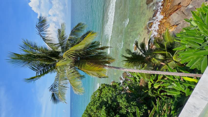 Thailand, Phuket, the edge of the swimming pool in a luxury villa, with a coconut palm and the sea in the background on a sunny day
