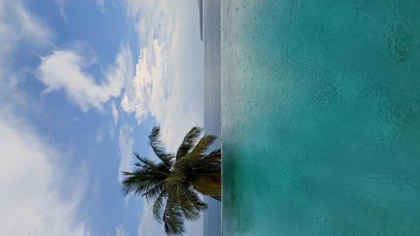 Thailand, Phuket, the edge of the swimming pool in a luxury villa at rainy weather, with a coconut palm and the sea in the background