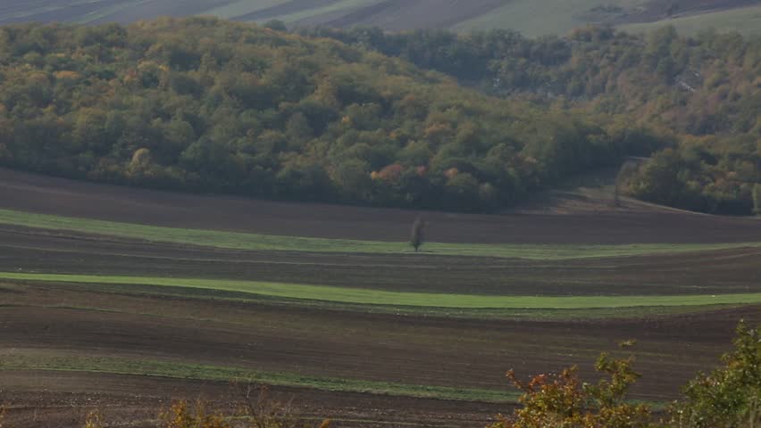 A breathtaking, hazy view of rolling hills and mountains in autumn. Terraced fields and scattered trees create a serene, expansive natural landscape.