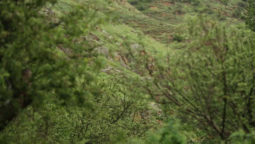 A serene landscape of rolling green hills and meadows under a cloudy sky, with distant mountains and trees showing hints of autumn colors. This picturesque view evokes tranquility and natural beauty.