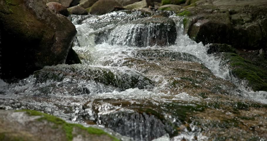 a mountain stream of crystal clear cool spring fresh water flows among stones and rocks in a pine forest