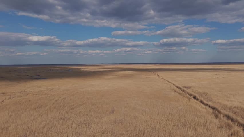 A vast open grassland stretches toward the horizon under a wide sky filled with scattered clouds. A narrow path cuts through the dry field.
