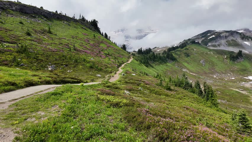 Breathtaking summer day in wild mountain with coniferous forest and green slopes. Mountain landscape with meadow. Mountainous landscape with cloudy sky. Scenic green hill mountain.