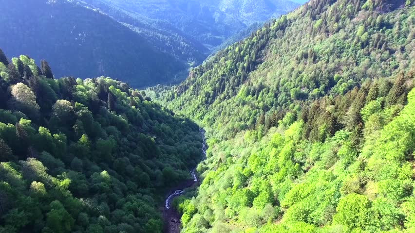 Aerial view of an untouched mixed pine and beech forest valley in a sunny mountain landscape. Forested mountains, rocky terrain, uninhabited, wilderness depict rugged regional geology natural. Forest, Valley, and Mountain reveal landscape character, environmental detail, and a strong sense of place. The footage supports nature, travel, scenery, environment, and destination related searches. Clear natural textures and recognizable terrain make the clip useful for documentary and tourism projects.