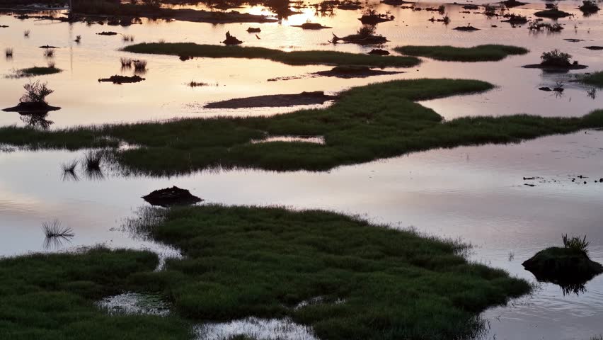Drone view highlights shimmering wetland pools under fiery sunset sky with panoramic horizon stretching beyond.