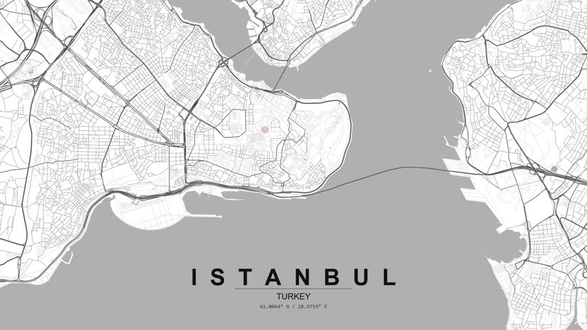 Grayscale city map of Istanbul, Turkey with a red location pin marking a point, showing detailed streets, coastline, and urban layout in a clean top view.
