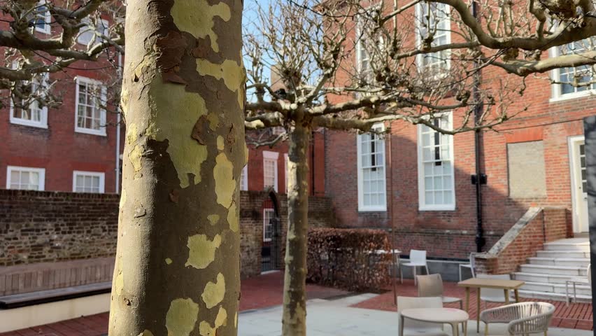 Quiet courtyard with trees and seating outside historic brick building in Chichester England