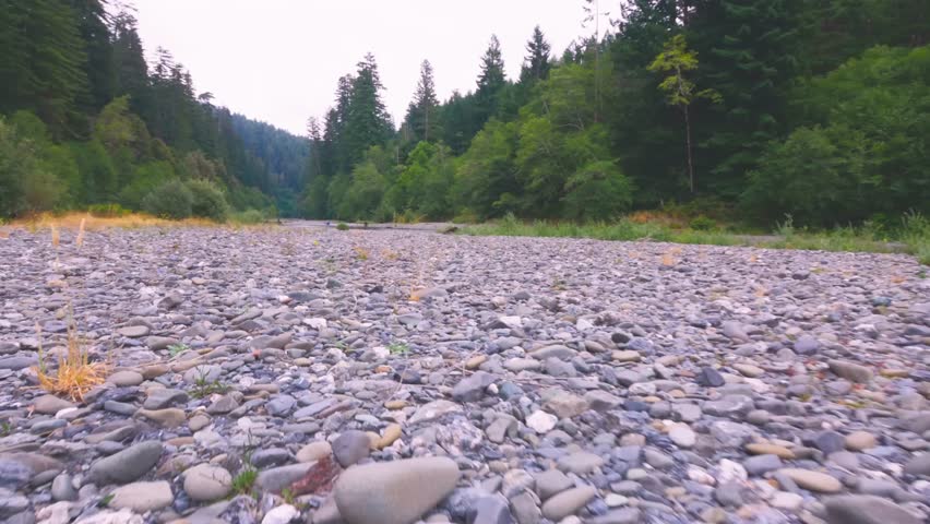 A scenic, ground-level view of the wide, rocky and gravel riverbed of Redwood Creek, which is part of the Emerald Ridge and Tall Trees trail system in Redwood National Park, California.
