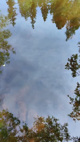 tranquil surface pond or lake reflecting blue sky, white clouds, and surrounding lush green forest trees, creating serene and picturesque natural abstract background. vertical.