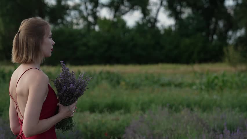 slow motion video of young girl walking on field with bouquet of lavender flowers and smells it. Beautiful young woman in summer walks in a field of blooming lavender and enjoy nature.