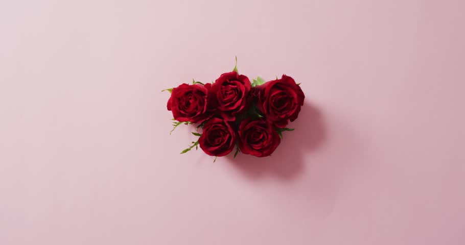 Bouquet of red roses on pink background at valentine