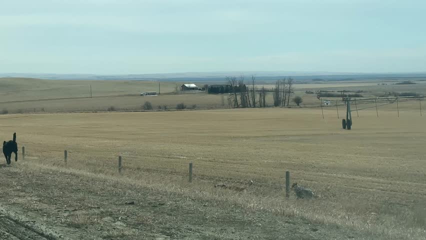 Natural rural Alberta farmland with open fields and wide prairie landscape under expansive sky