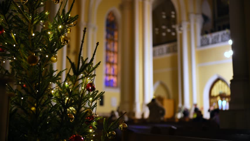 Christmas tree decorating the interior of a Catholic Church during holiday celebrations