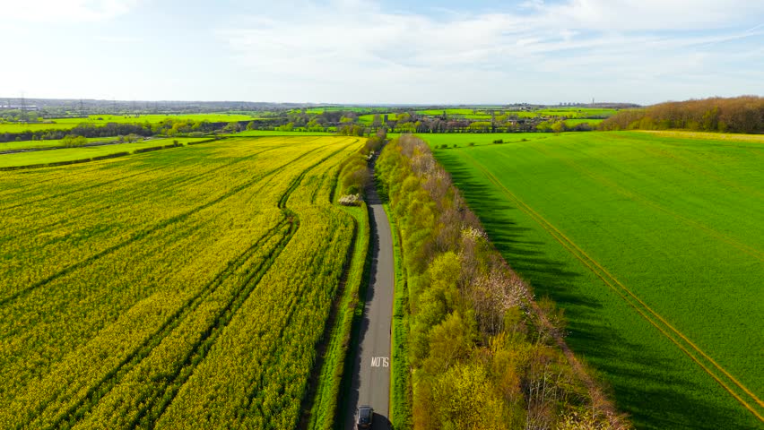 Aerial countryside road passing between blooming rapeseed field and green farmland with passenger car traveling forward. Rural transport route bordered by trees and hedgerows across agricultural