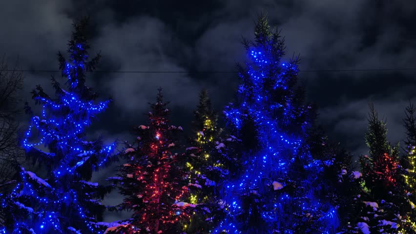 Christmas trees decorated with blue, red, and yellow lights on a snowy winter night