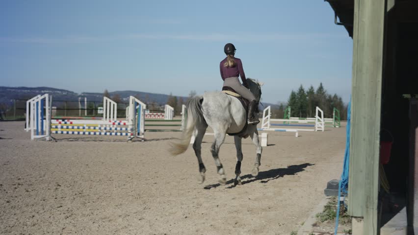 Professional female rider training on a white horse in an outdoor show jumping arena